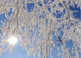 Синоптик дал жуткий прогноз погоды на зиму 2020 | FaceNews.ua ...